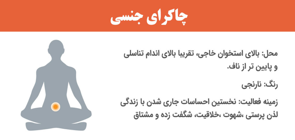مشخصات چاکرای جنسی