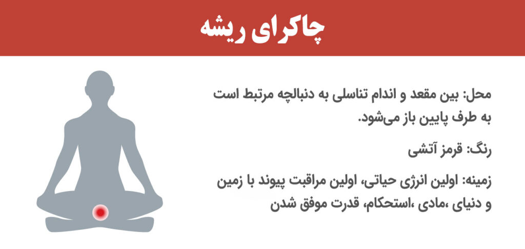 چاکرای ریشه