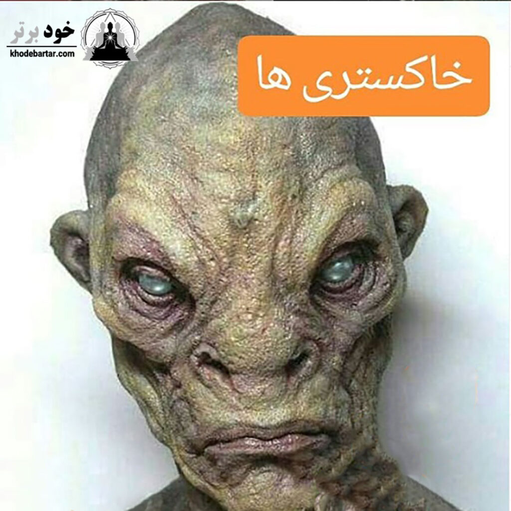 نژاد فرازمینی خاکستری